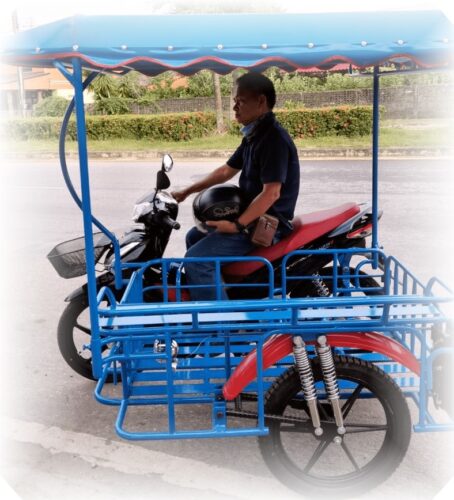 BikeCarrier-mvtbm12b