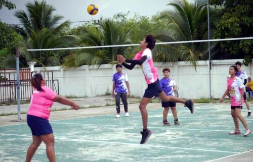 gvbc-sm71